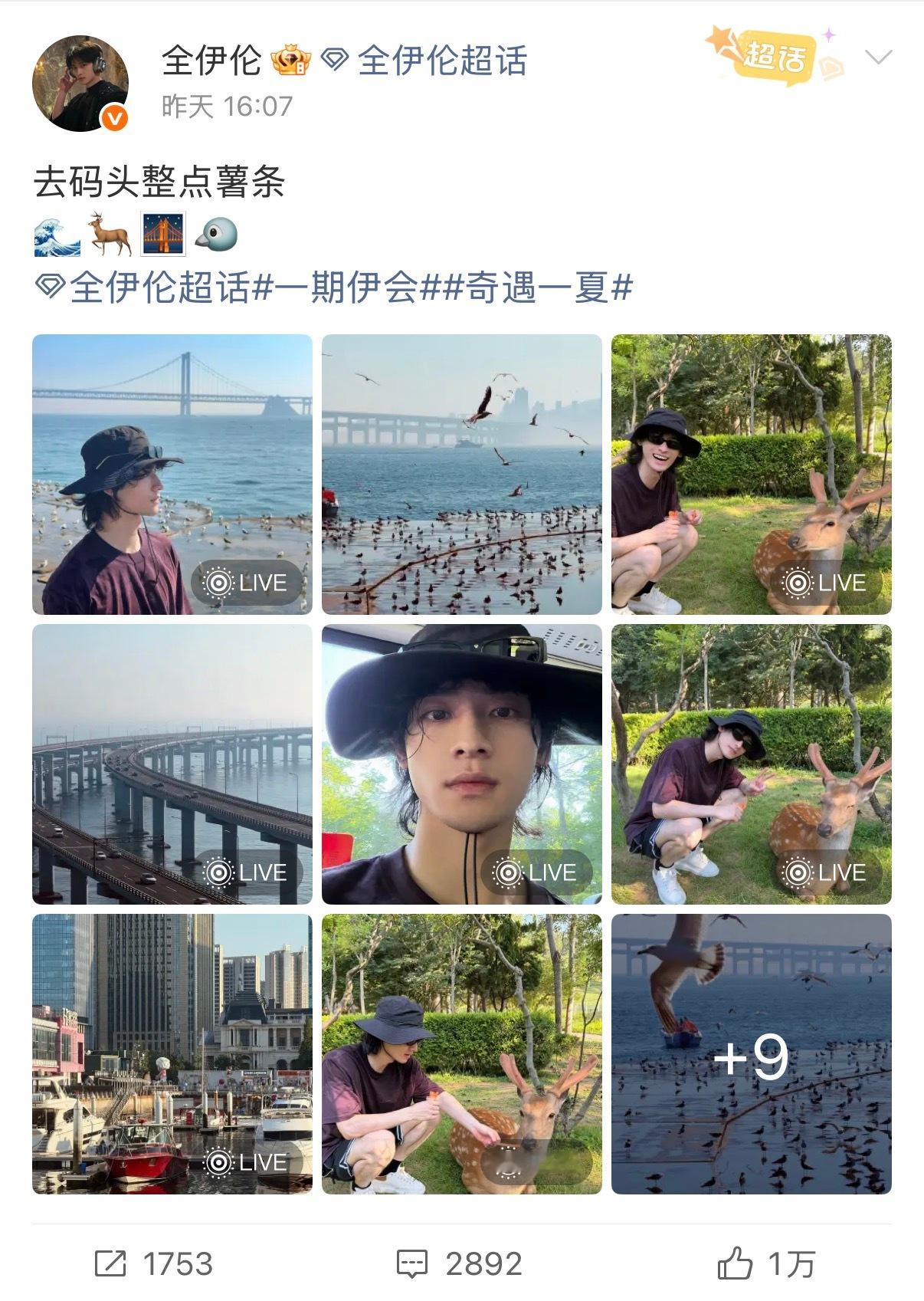 宋威龙全伊伦怎么不去吃炸知了前脚宋威龙放狠话要把吵人的知了炸来吃，亲自下场抓蝉上