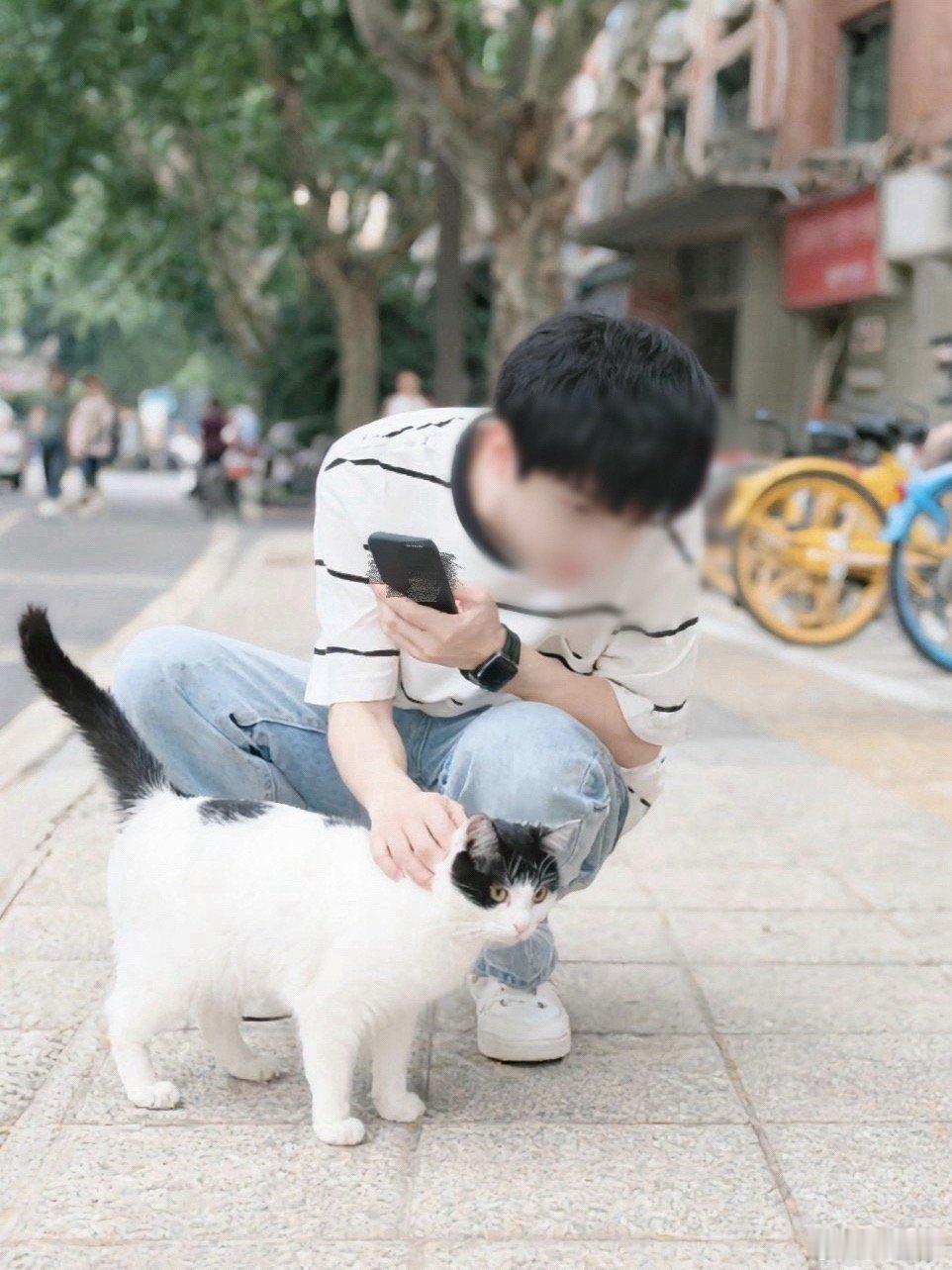 遇到了一只猫咪，像章喵呜。 ​​​