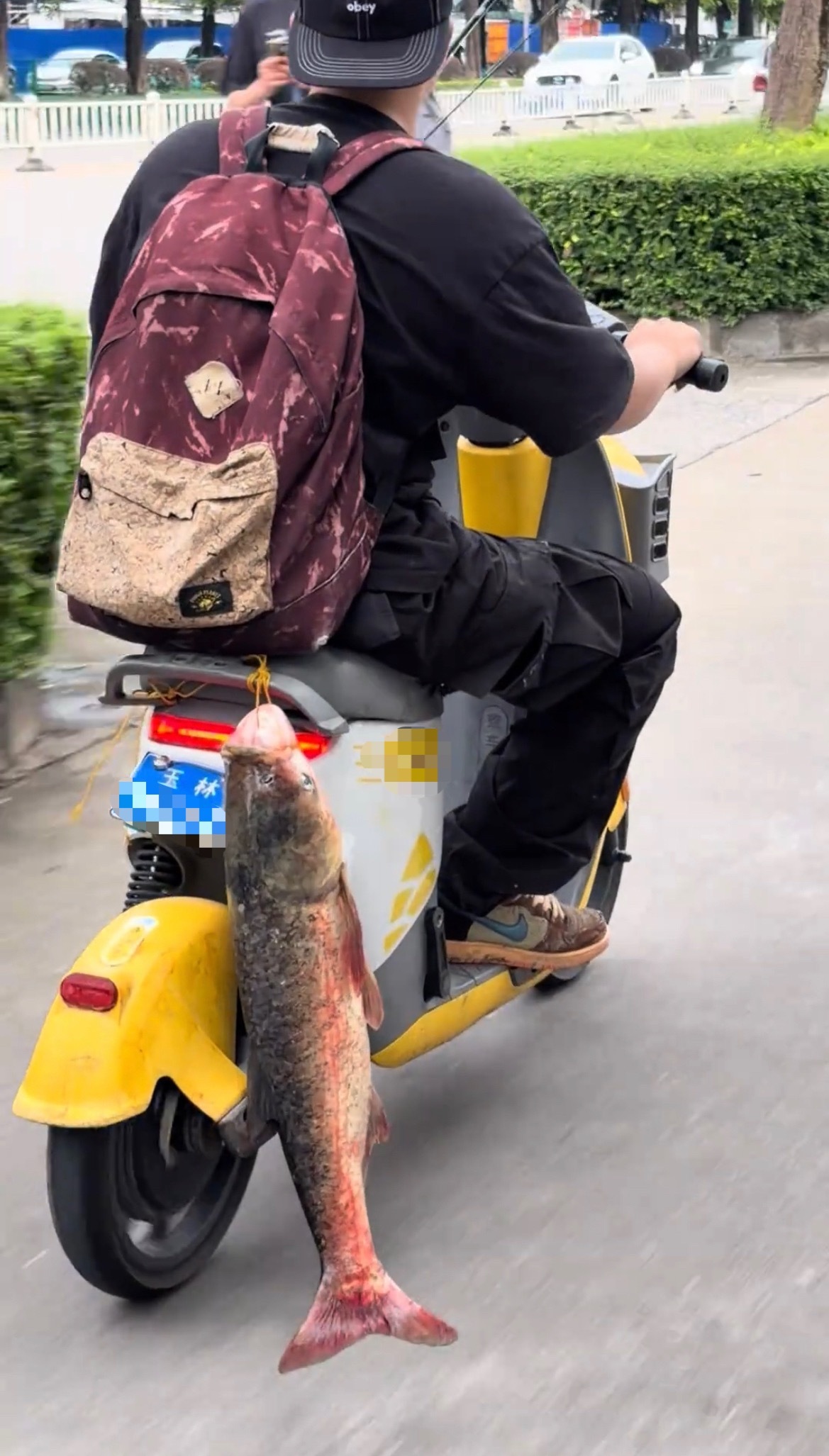 【玉林男子疑钓到一条大鱼挂在共享电车炫耀】6月30日，网友分享：玉林市街头一名男