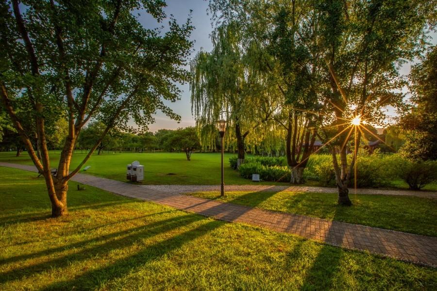 曾经向往生命如火，盛夏盛放，绚烂夺目。
后来才知晓，岁月自有清欢，
一抹深绿，安