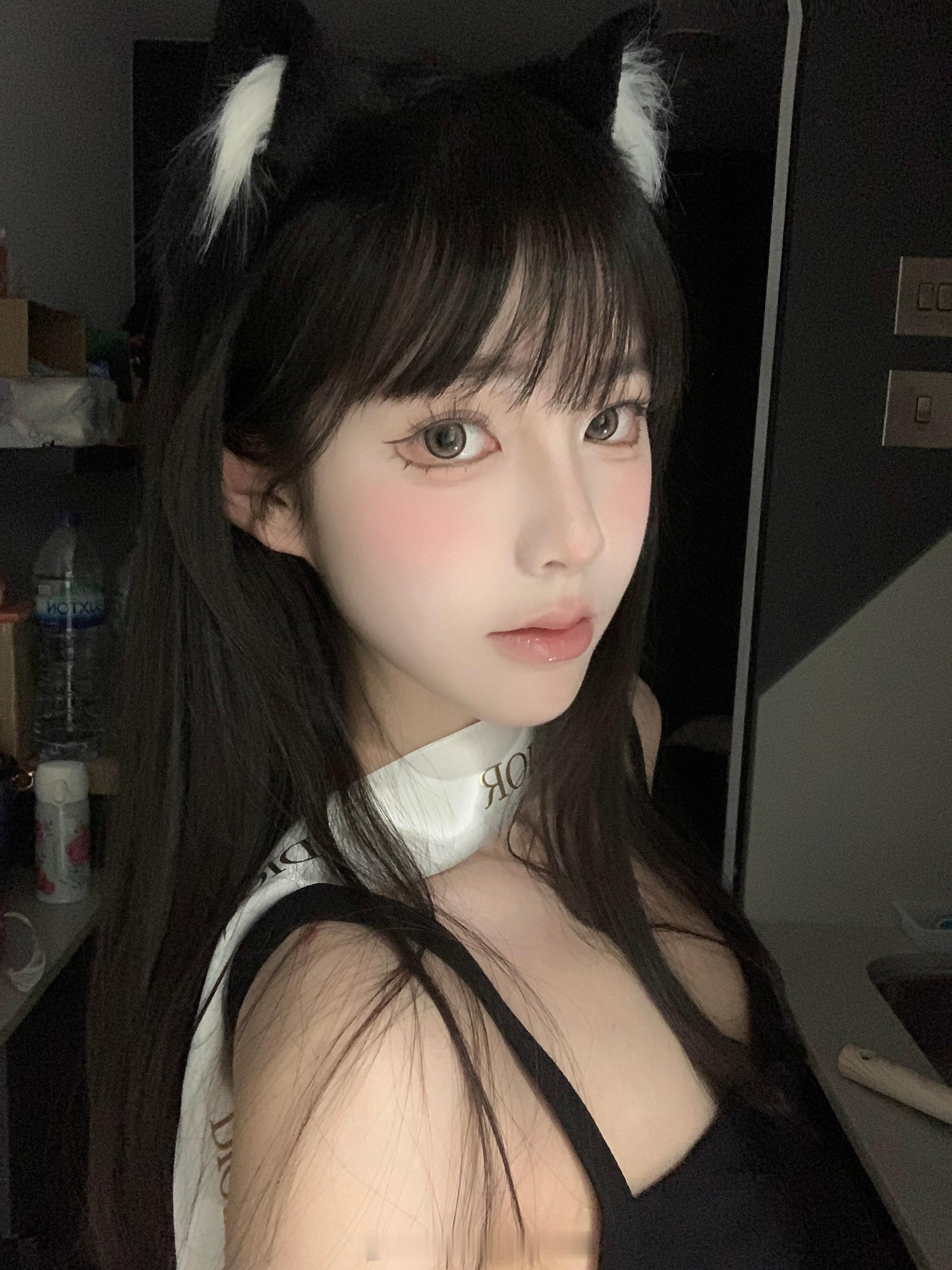 喵喵喵 ​​​