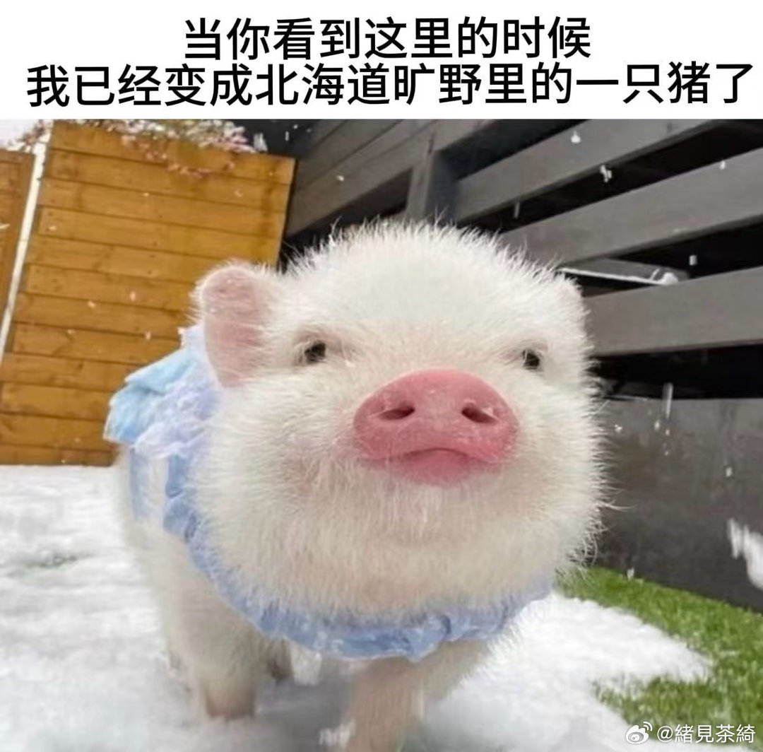 清清茶依0826生日快乐有没有人参与一下 ​​​