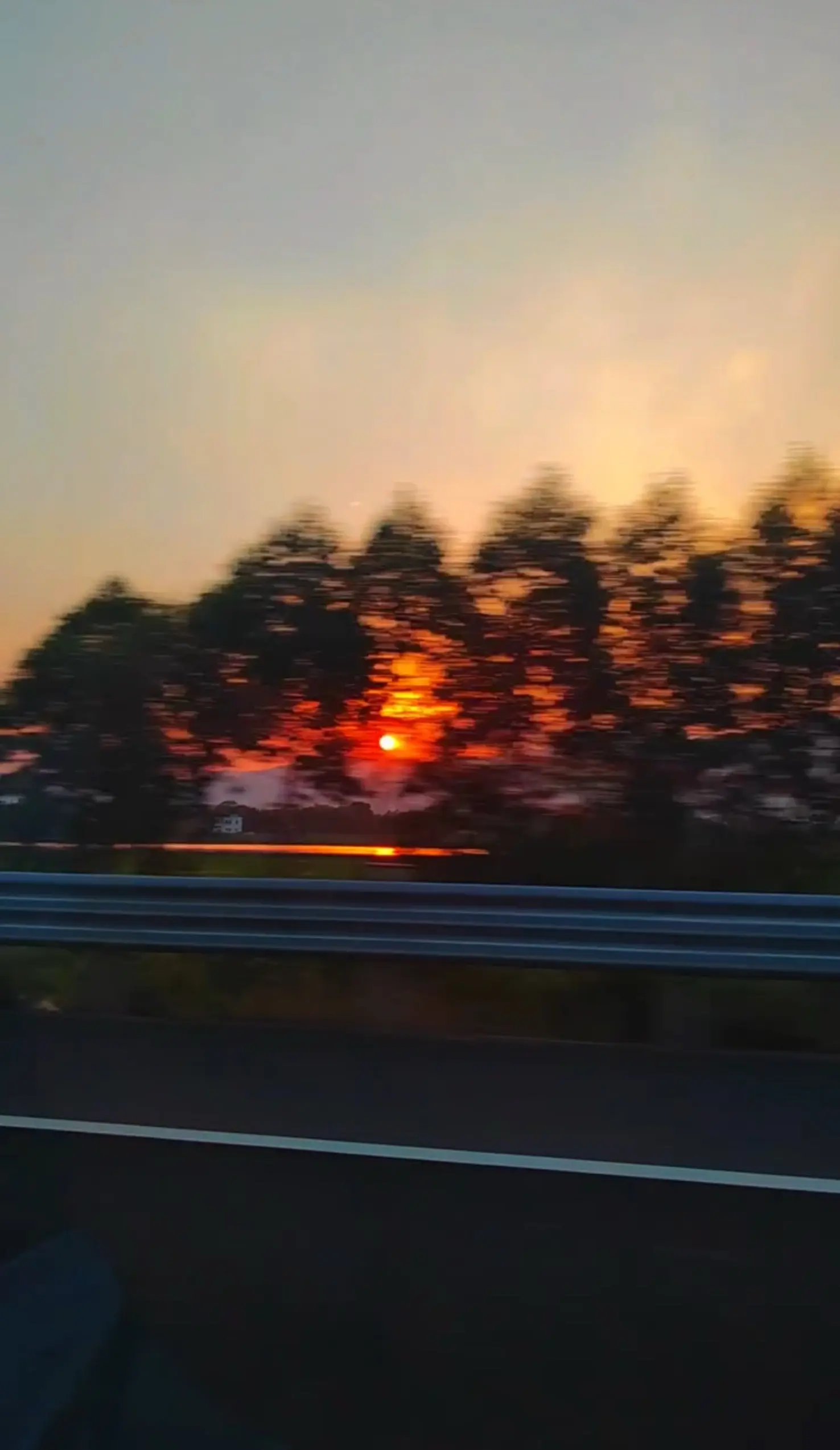 “耗尽真心的最后一课叫"割舍                     ...