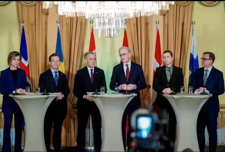 笑死！老特想吞格陵兰、想拿捏北极，结果硬生生逼出了一个**“中等强国联盟”**！