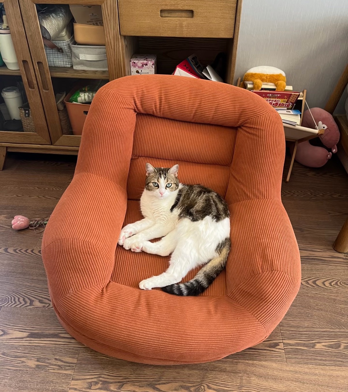 这猫像极了在沙发上的爸爸往沙发随意一瘫，四肢怎么舒服怎么摆，放空发呆一动不动。下