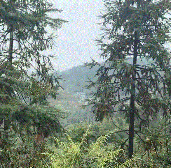 泪目了。贵州，一男子国庆假期结束后，从老家返程上班，可离家走远登上山头时，男子本