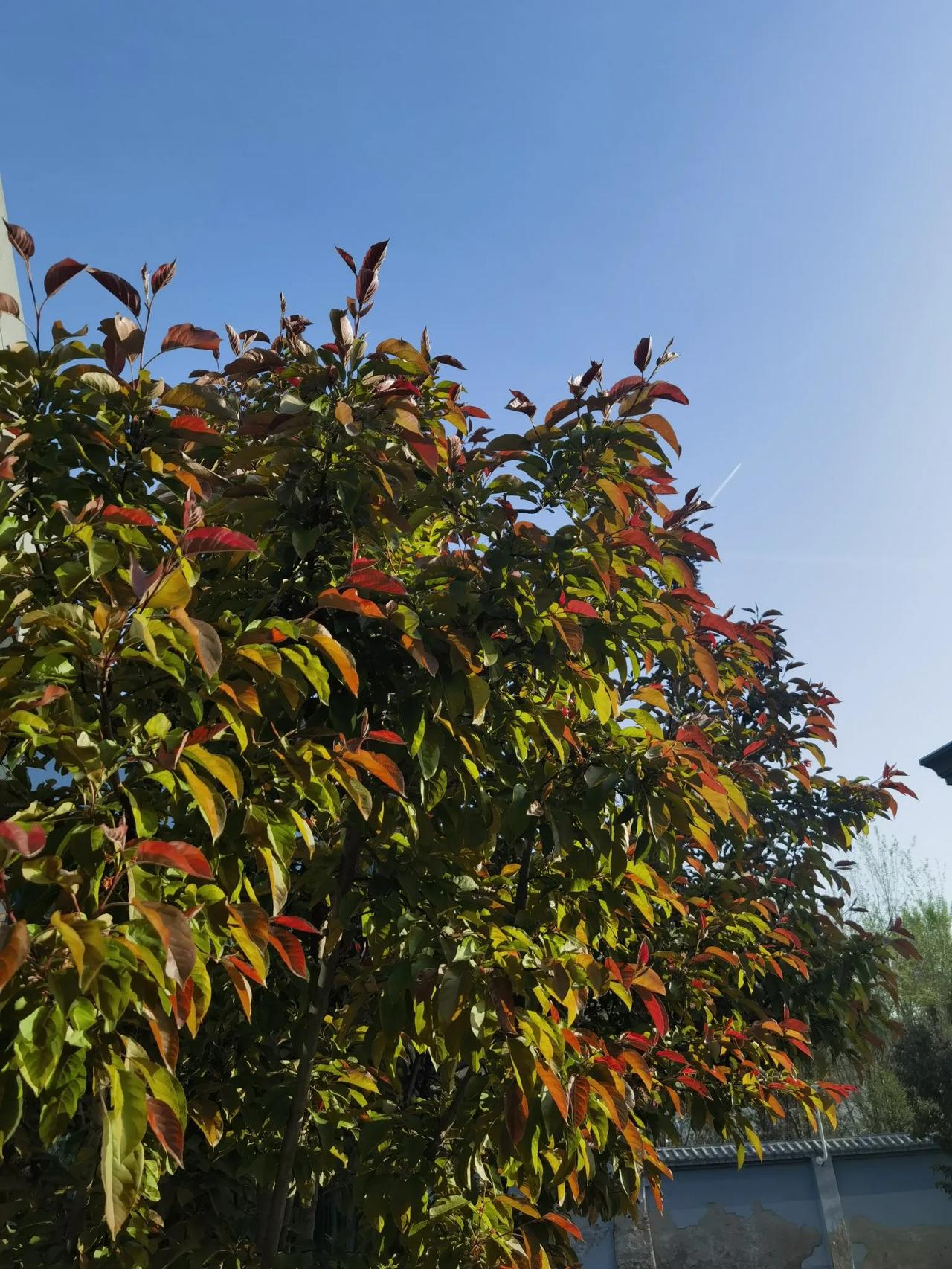 被自家人当场拉黑是什么体验?被家人当场黑的瞬间，像是被泼了一盆冷水，浑身发凉。满