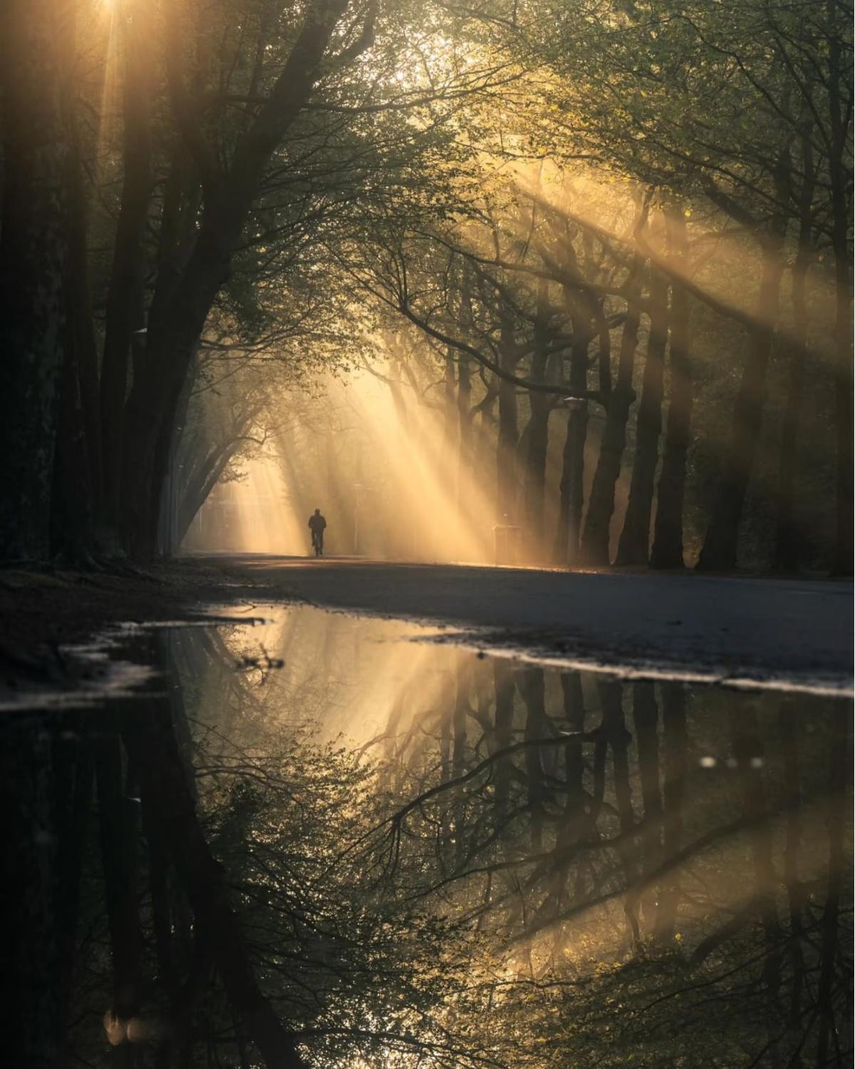 低谷不是终点，而是你内在版图的等高线

昨天收到一条私信：“能送给我一句处在低谷