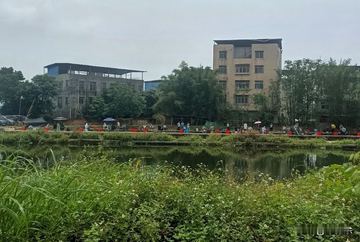 以前我总纳闷，为啥这些男人们能在水边蹲一整天，就为了等鱼咬钩？
今天看着这满塘边