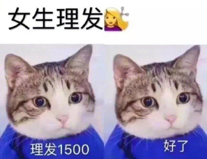 哈哈哈，太真实了吧～