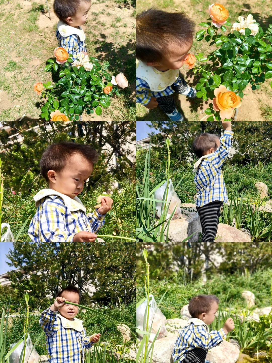 蓬头稚子学垂纶，侧坐莓苔草映身