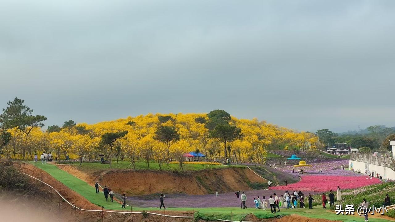 女人都是自己选的老公，结婚了，生活过上了，又说自己当初瞎了眼，是不是都这样？
