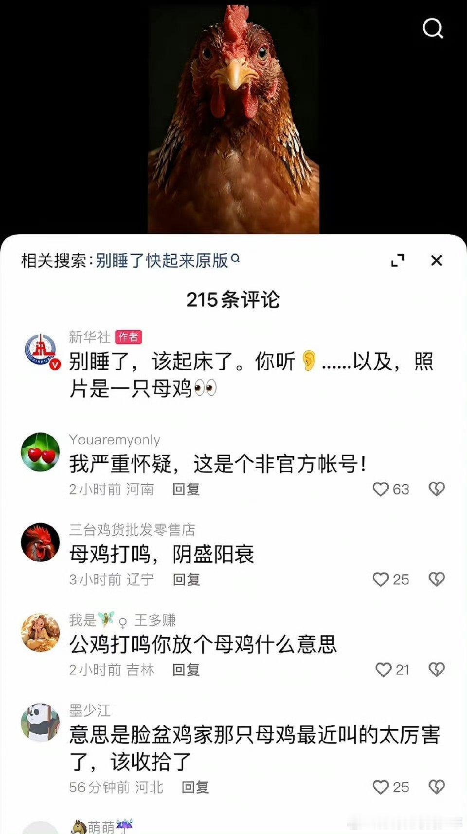 十日终焉官宣开机，这把它们忙的到处打鸣……新华社:照片是一直母鸡！挺肥该宰了拔毛