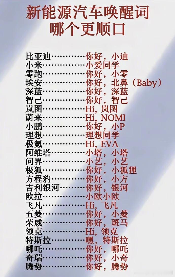 胖哥汽车频道 网友总结的唤醒词，你们觉得哪个更顺口？大V聊车我和汽车的日常