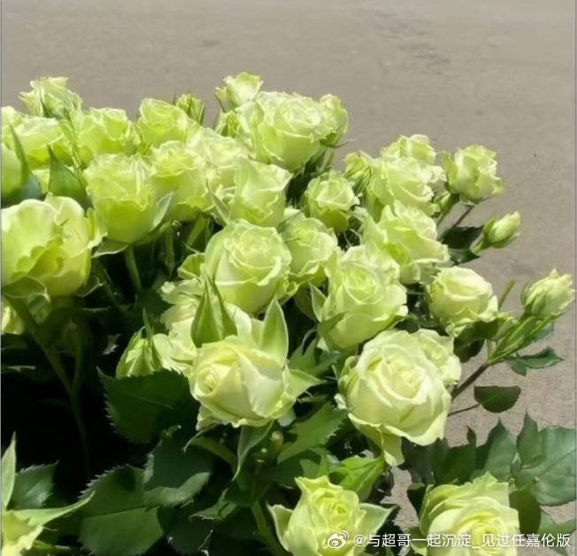阳光信用[超话] 每一次的蜕变 都伴随着疼痛 每一次的成长 都意味着告别 我们告