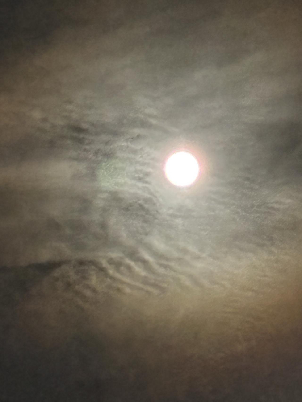 鹧鸪天·八月十六话月夜
 
青云/赋
桂影摇香月色融，花灯曳影韵千重；
玉兔衔饼