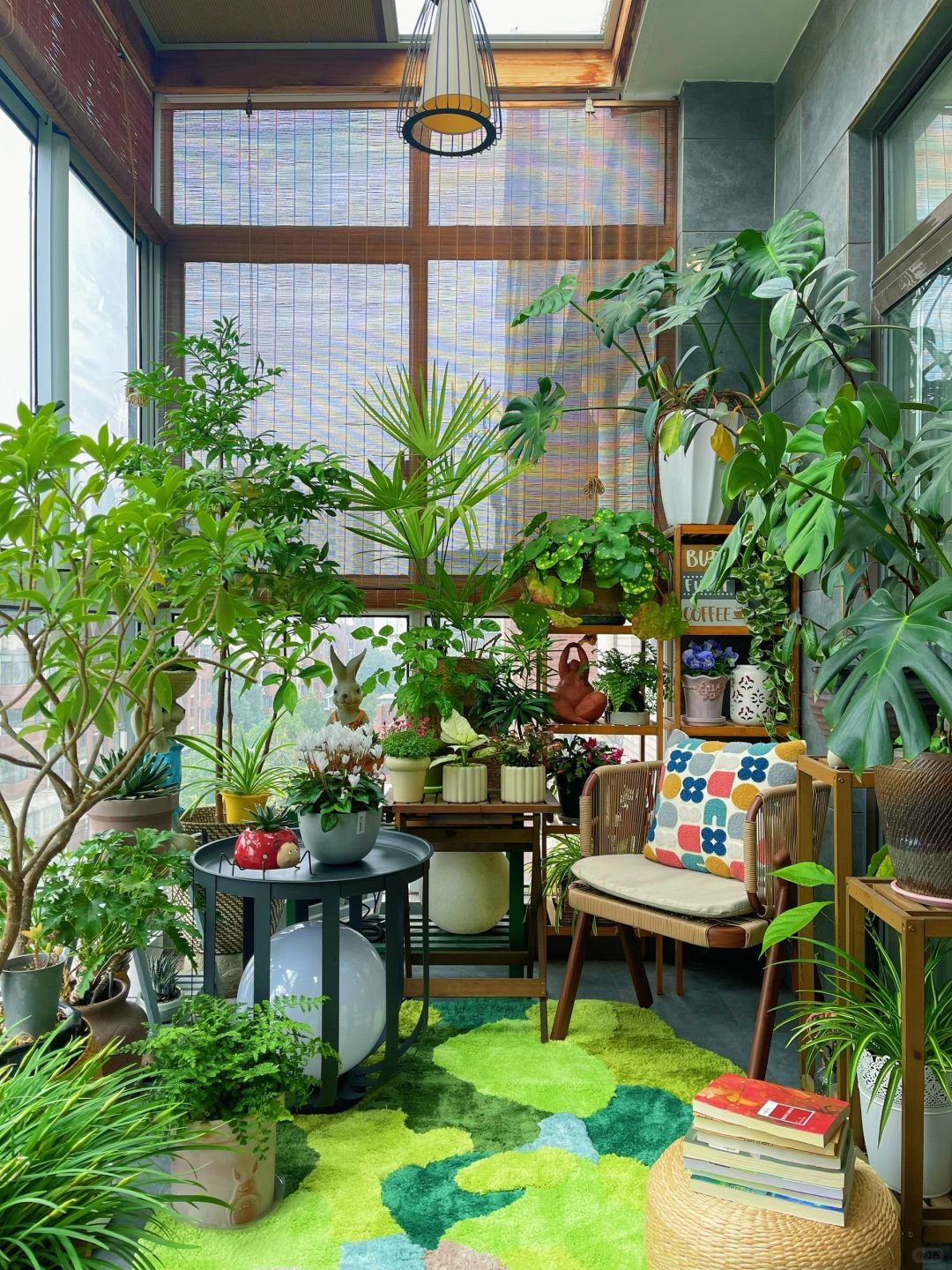 9m²｜封了阳台的家，也可以轻松拥有小森林！
