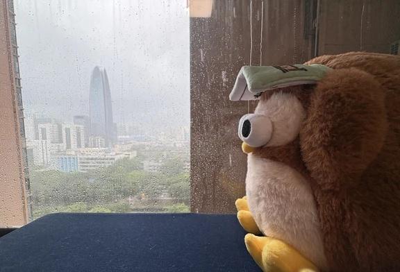 凭窗听雨
浪漫生活的记录者
啥时候停啊？
天上破了洞吗？
啊？
深圳暴雨
