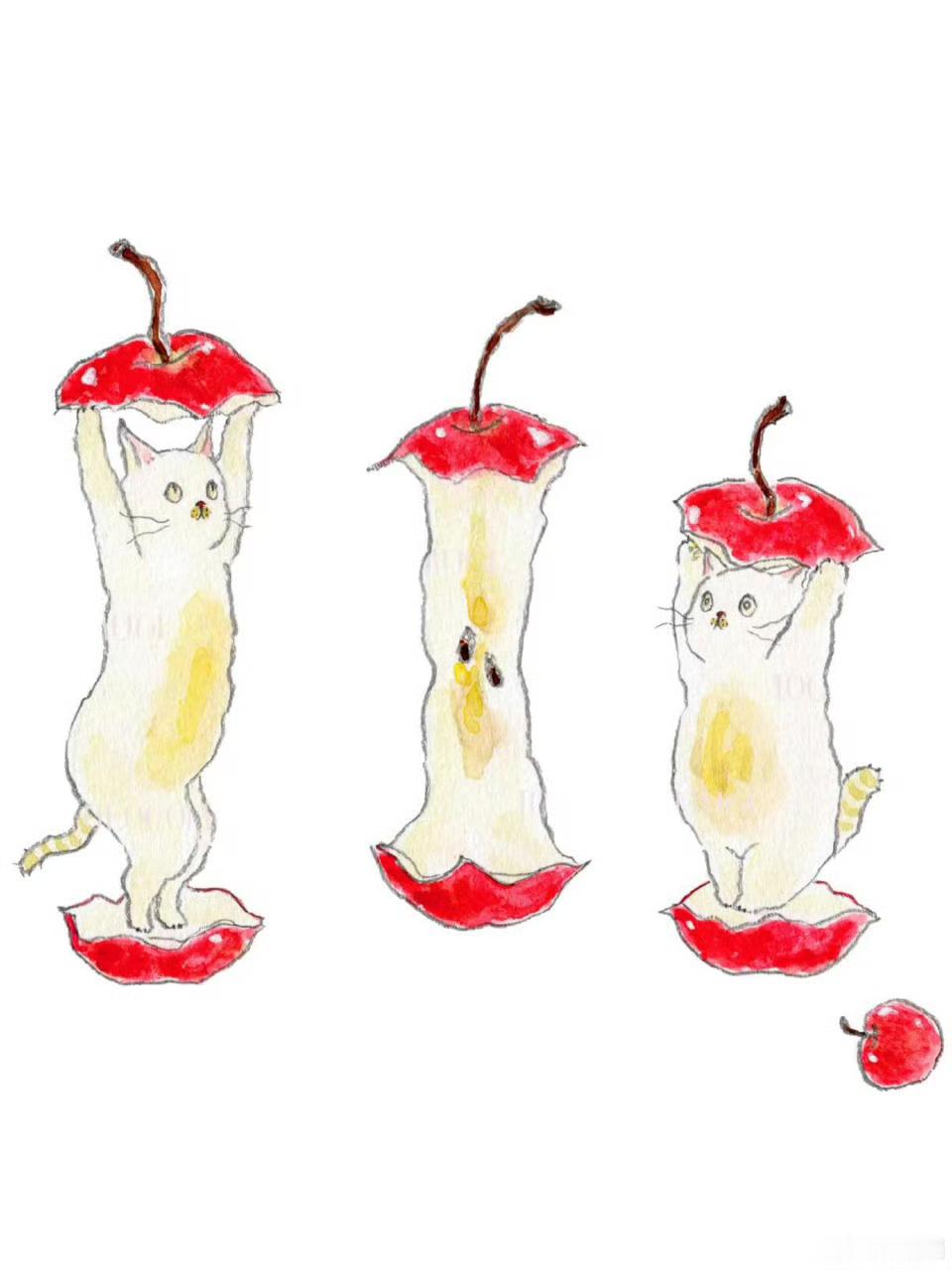 盛夏壁纸大放送动漫仲夏狂欢季万物皆可猫 tocorocomugi 