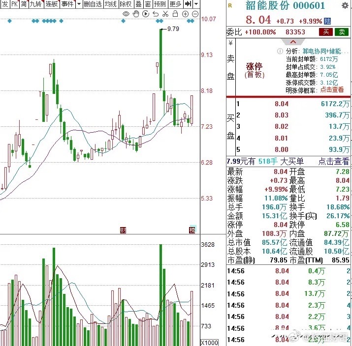 深度复盘：3个低价电力股，值得关注 1. 韶能股份 　　8.04元水电+算电协同