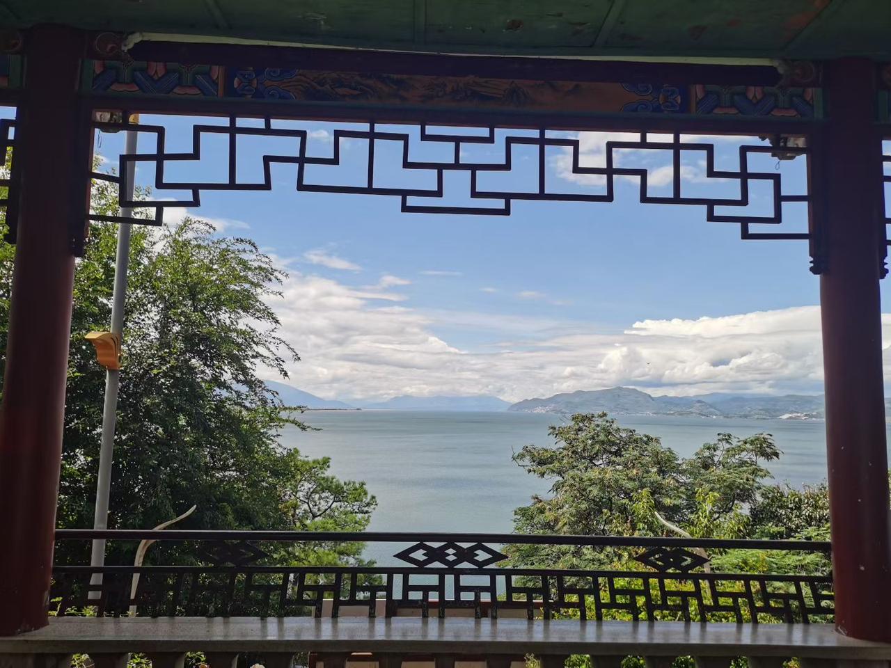 每日洱海
大理洱海不是海为什么还有海鸥