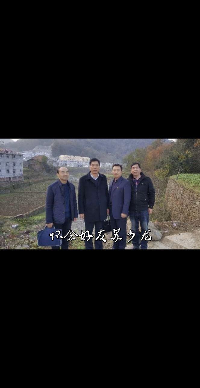 2023年夏天的那个中午，电话铃声划破了午后的安静。是苏少龙的电话，接起电话，却