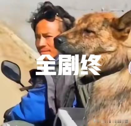 致两位远行的勇者：世间再无冒险王（王相军），亦失掌灯人（张雪峰）
 
致西藏冒险