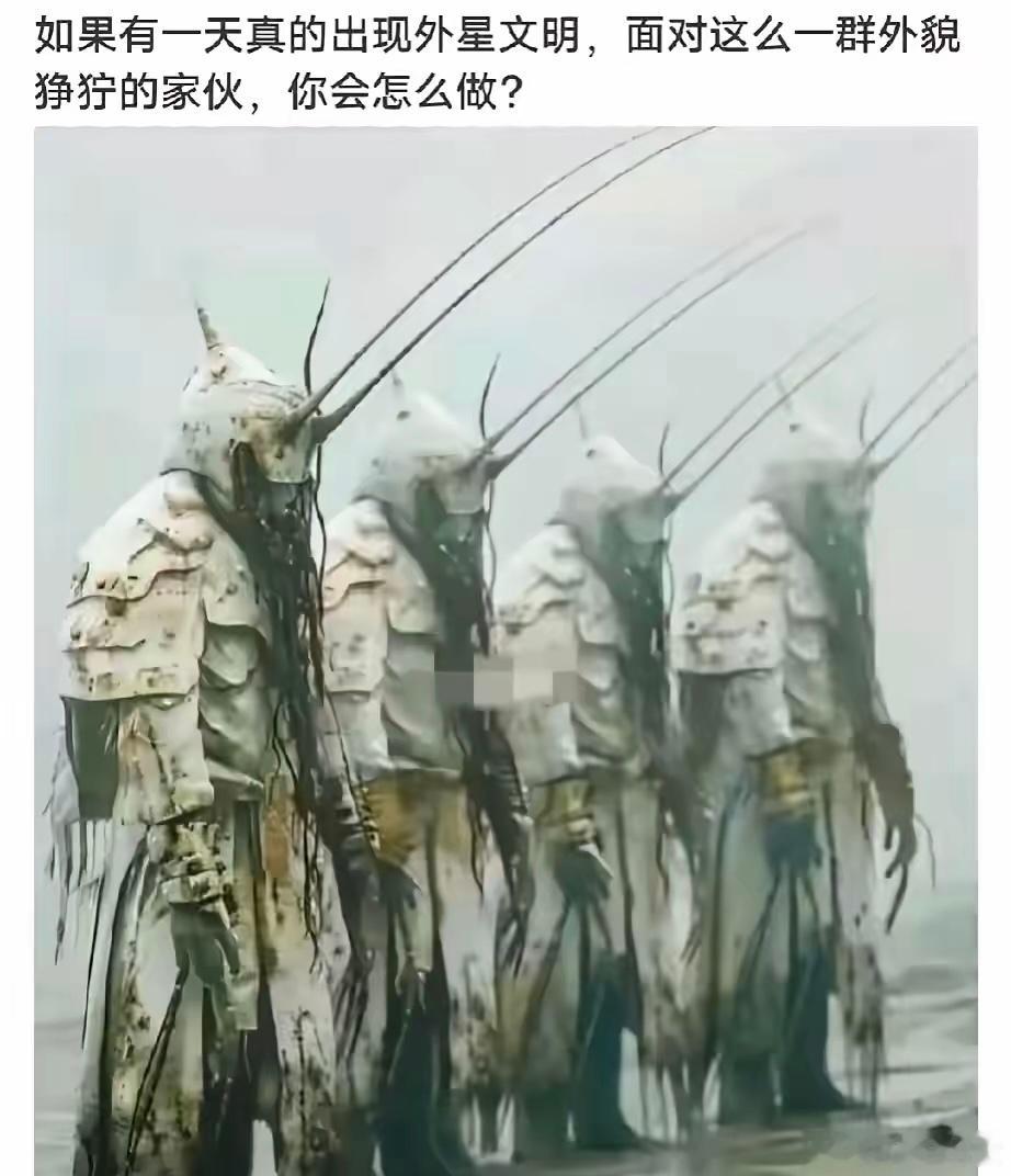 你会怎么做？ 