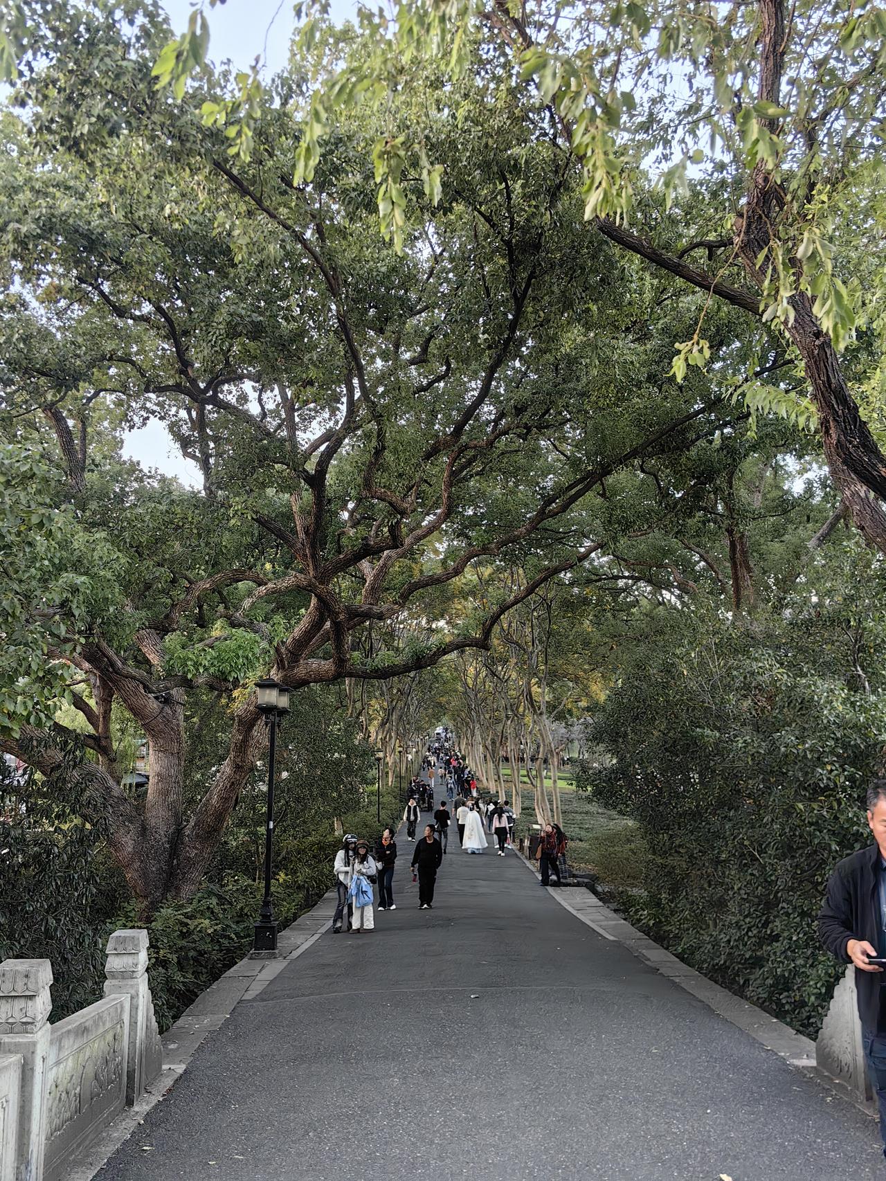 今天在机场叫网约车，看手机显示车子快到了，就开始找上车点，但走错了电梯，从C1的