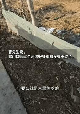 河南信阳，这事儿也太玄乎了！
18斤的大鹅在门口河沟突然消失，

监控下，大鹅探