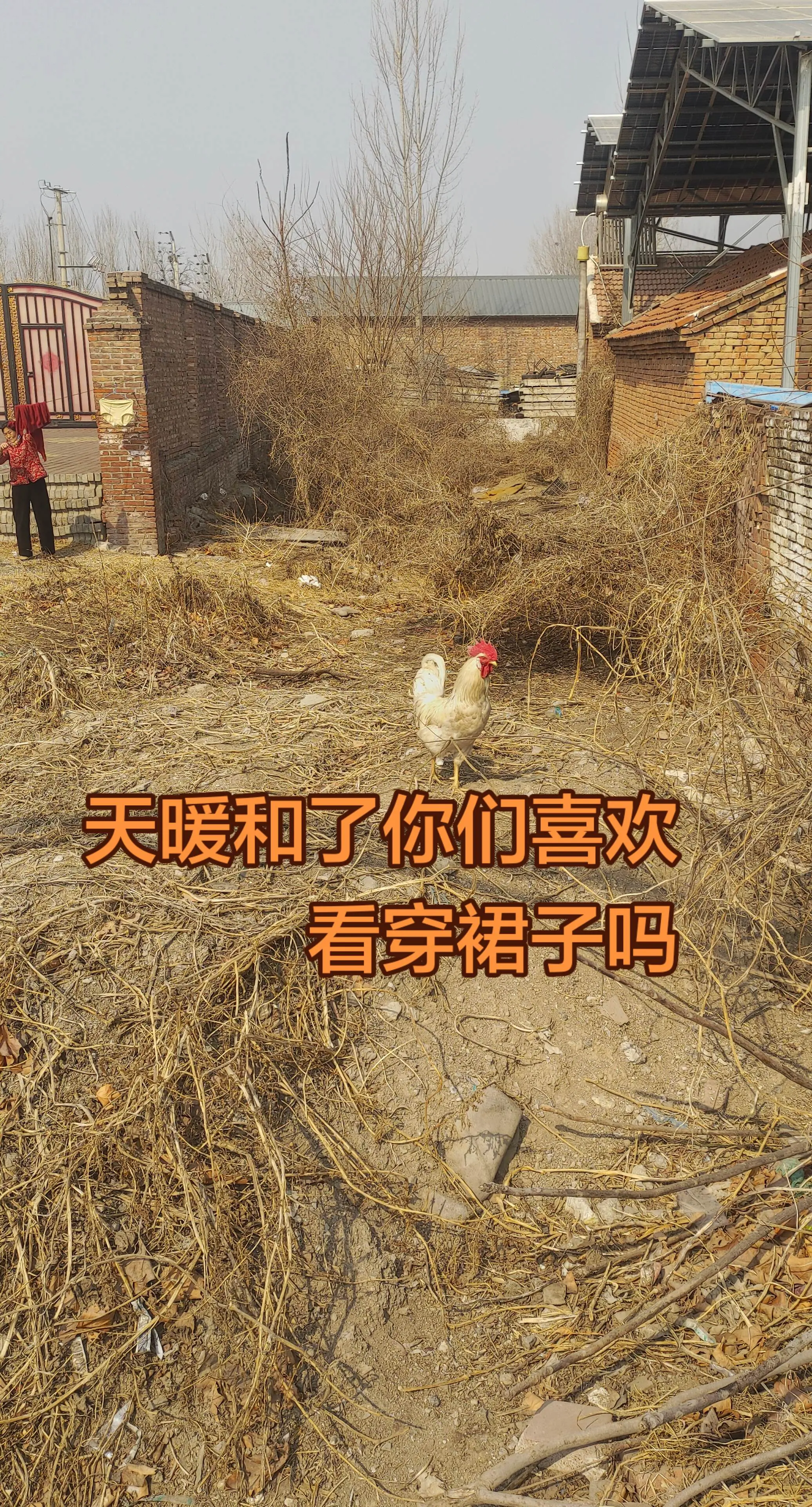 瓦堆