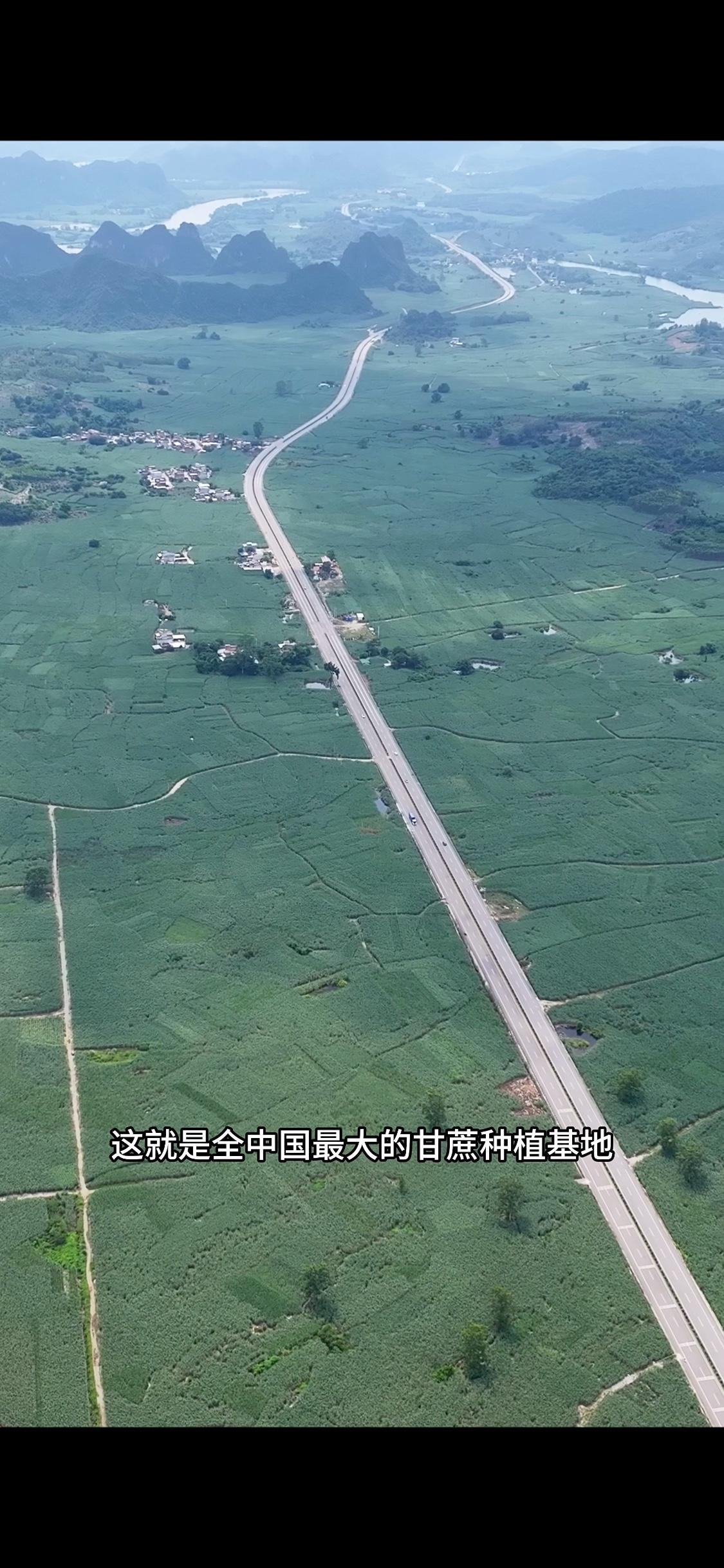 这就是全中国最大的甘蔗种植基地，广西崇左市，它全市总人口共205万，就有120万