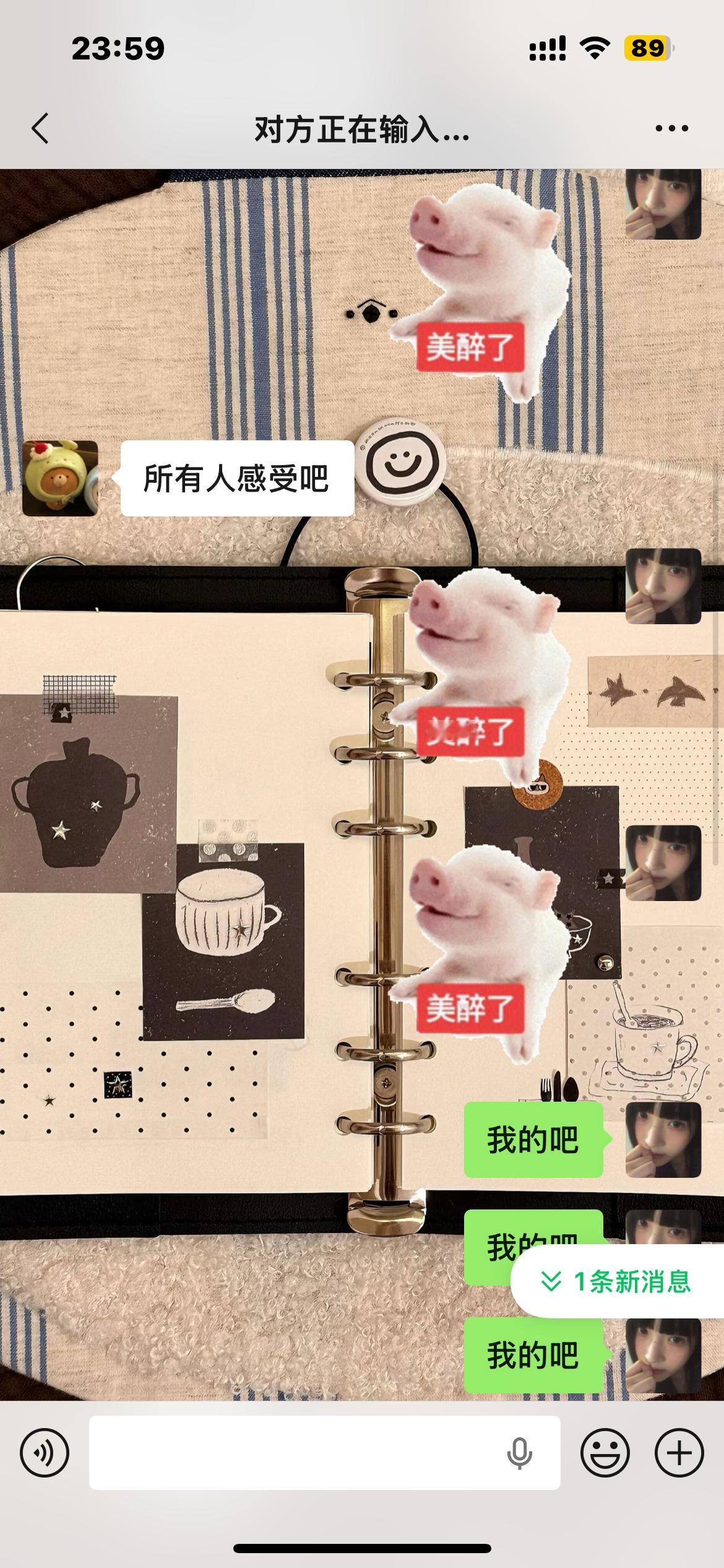 看见我女神爱四的新稿图，我就这样
