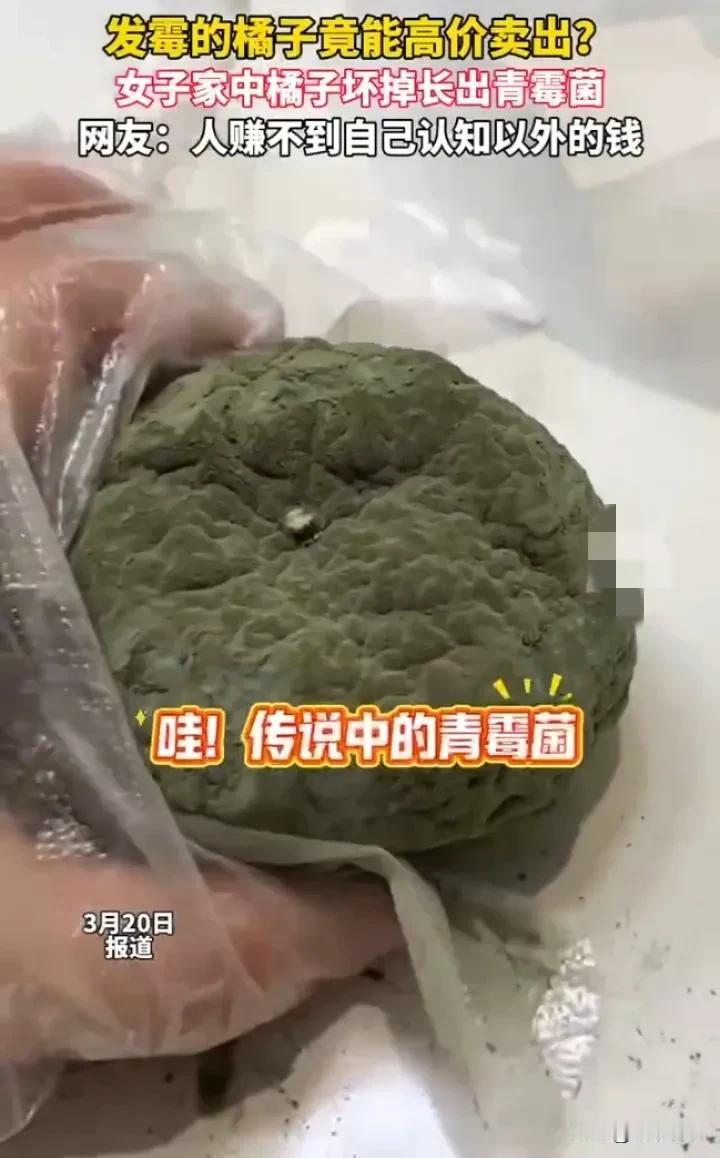 发霉橘子卖出天价？是商机还是智商税？

山东一女子把发霉变绿的橘子在网上卖到五百