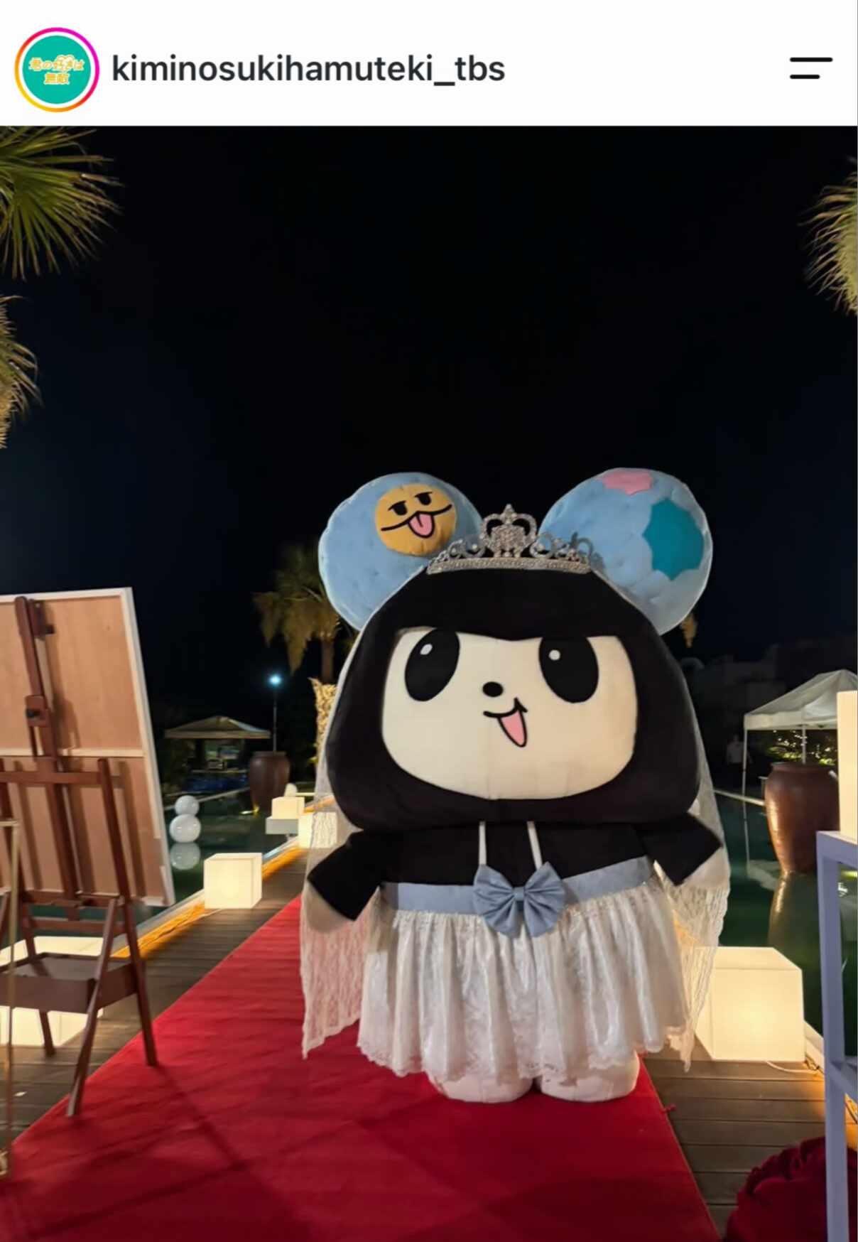 首例人类与玩偶结婚
佐野勇斗