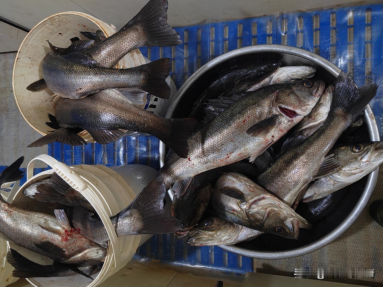 9点钟的时候，正在手机上学习**，听到有人在敲门，于是我赶紧穿好衣服，把手机音量