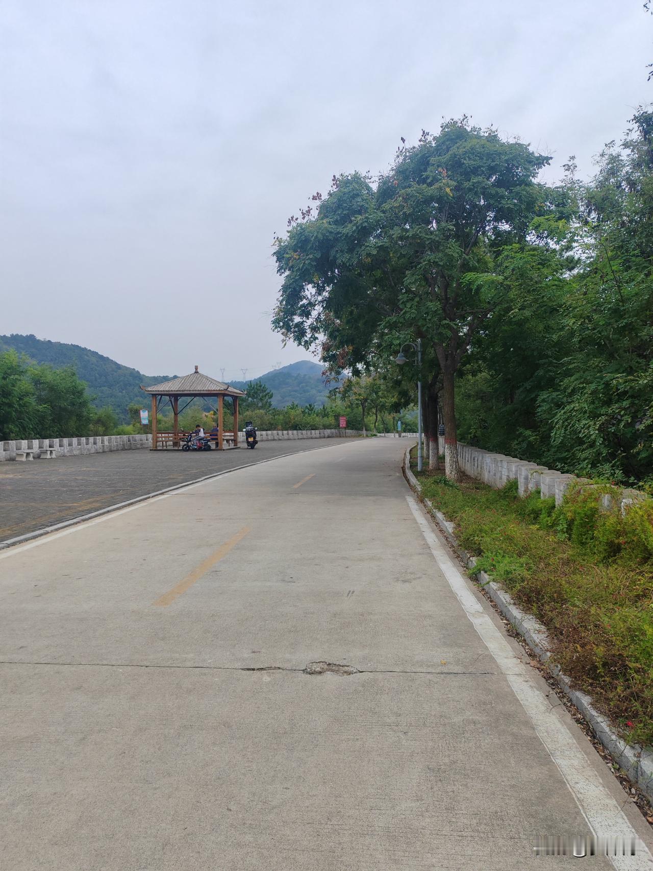 人人想成为素老三，但最终成为她的，没有几个。

素老三是最近才关注的作者，她年龄