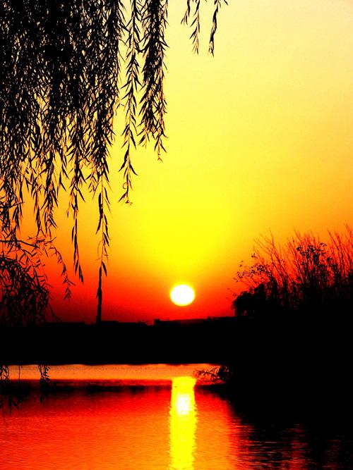 退休生活“八个一阵子”

对于本人而言，退休以后，必须坚持适度运动，尤其是抗阻运