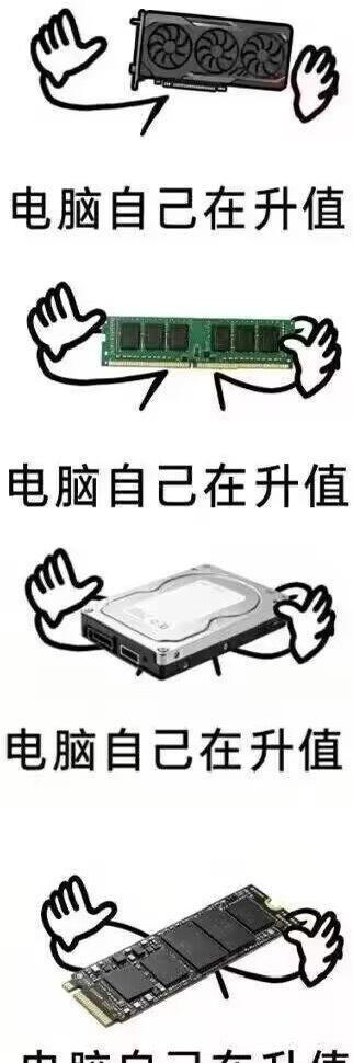 现在买新电脑或者显卡内存硬盘，就跟赌博一样：
如果三五年以后，存储价格暴跌，你就