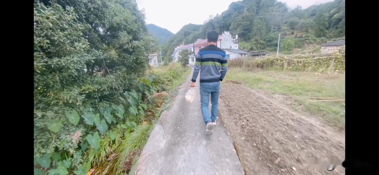 肚子难受了近两个月，回农村老家走了一趟居然就好了。难道从农村到县城也会水土不服吗