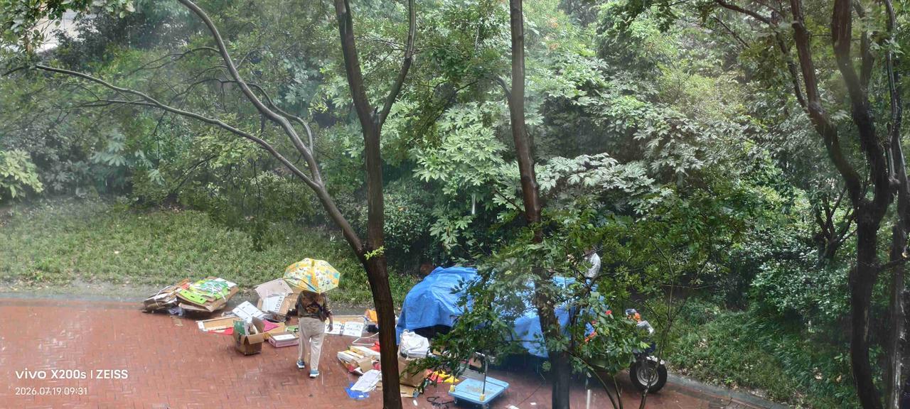 窗外的雨砸在玻璃上，声音闷得人心慌。我从家中低头望向窗外，楼下那对老两口正佝着背