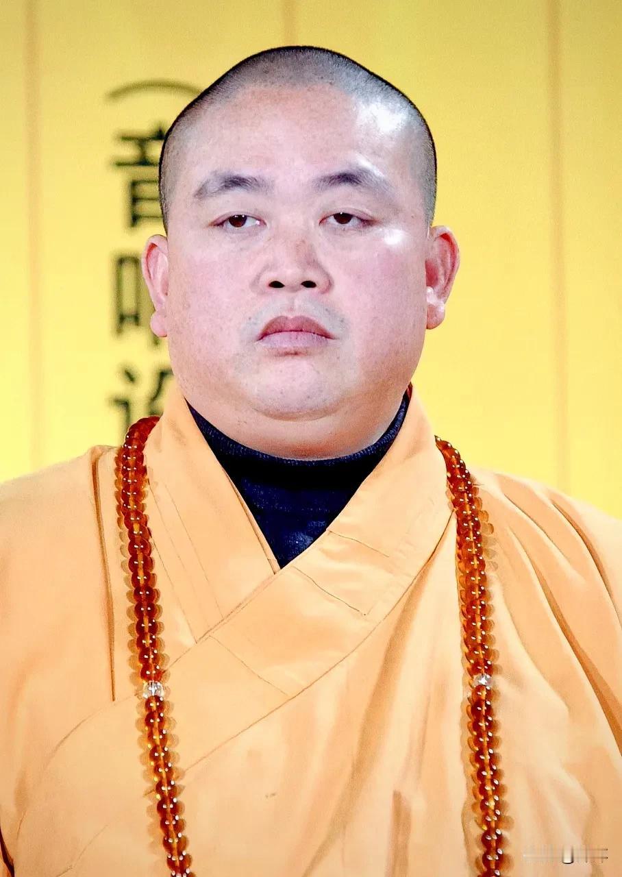 少林寺主持释永信大师