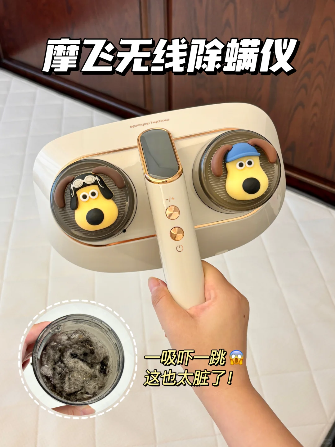 这玩意儿真的是人类智慧的产物🐮！！