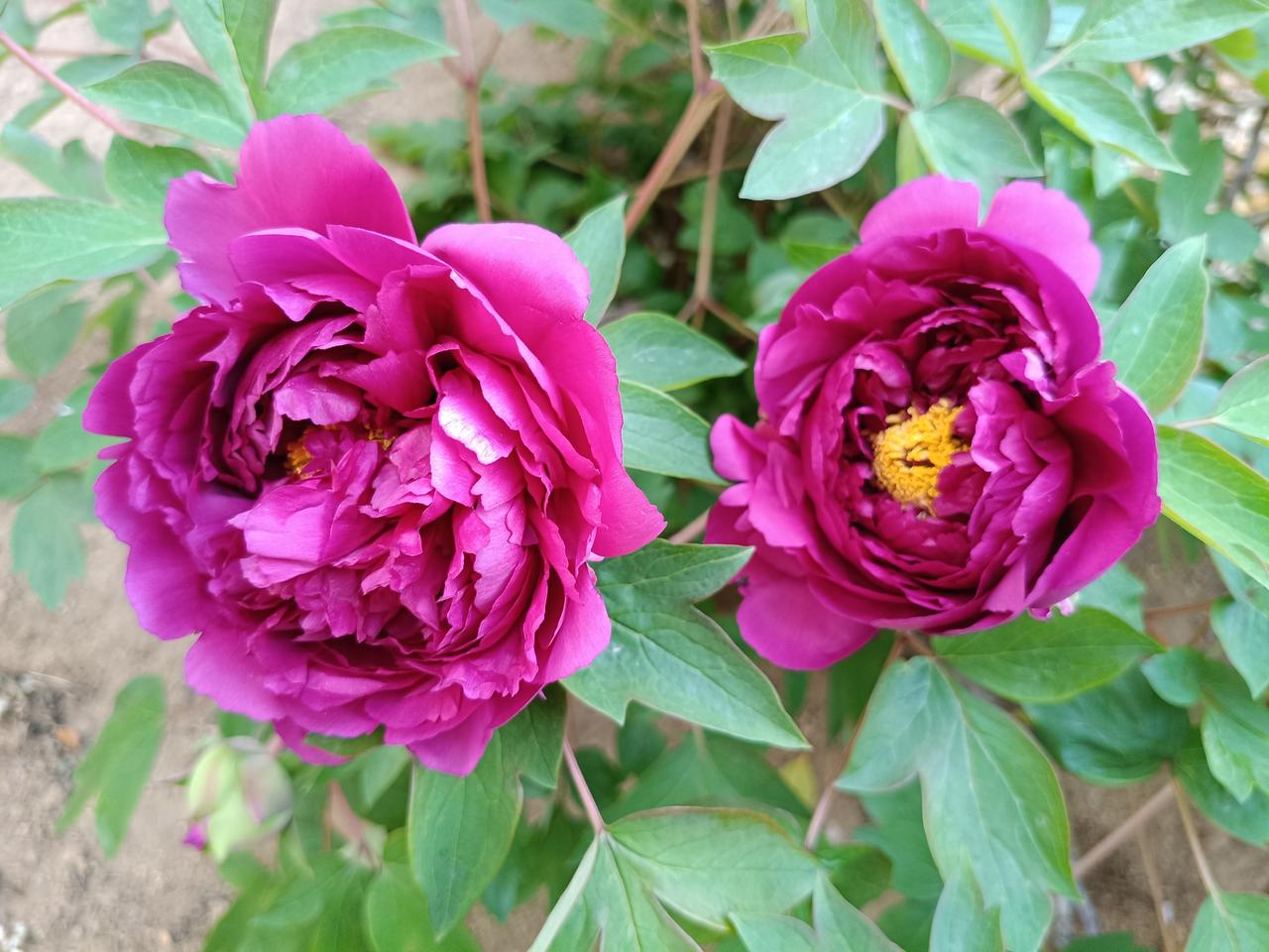 分床睡并不能代表什么，不分床照样可以同床异梦，而分床睡感情未必分离。

感觉分床