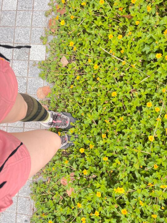 超喜欢户外的感觉，走起来~