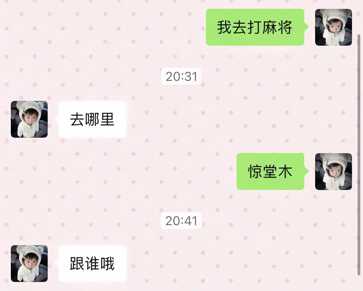 上天入地 再也找不到我这么爱打麻将的人了