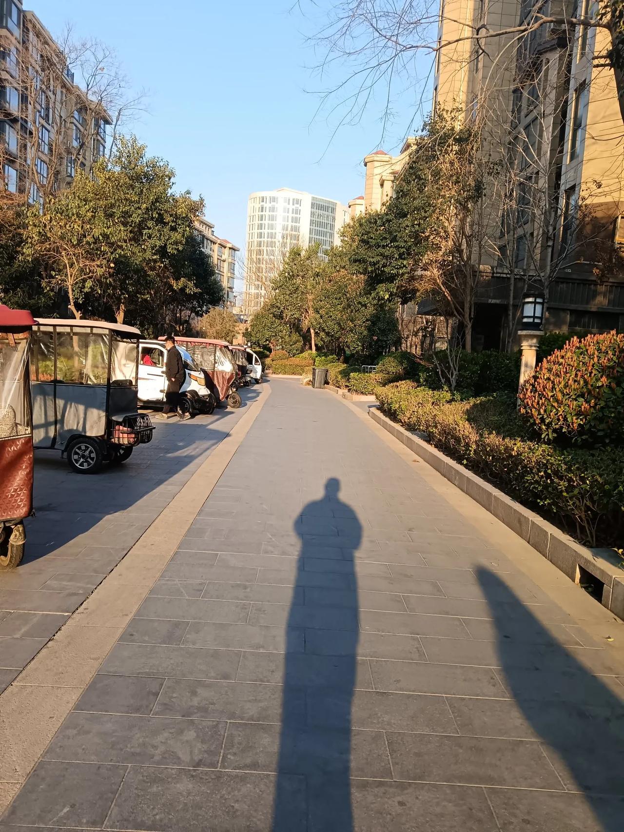 散步时随拍分享(商丘)