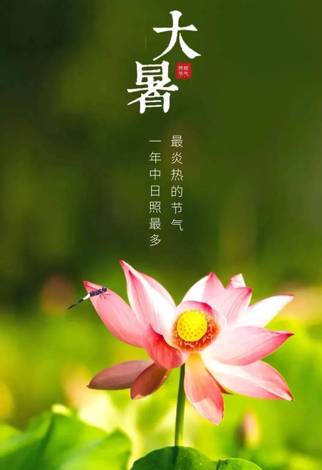 时至大暑
一年中最热的时节
俗话说
“小暑不算热，大暑三伏天。”
此时正值中伏

