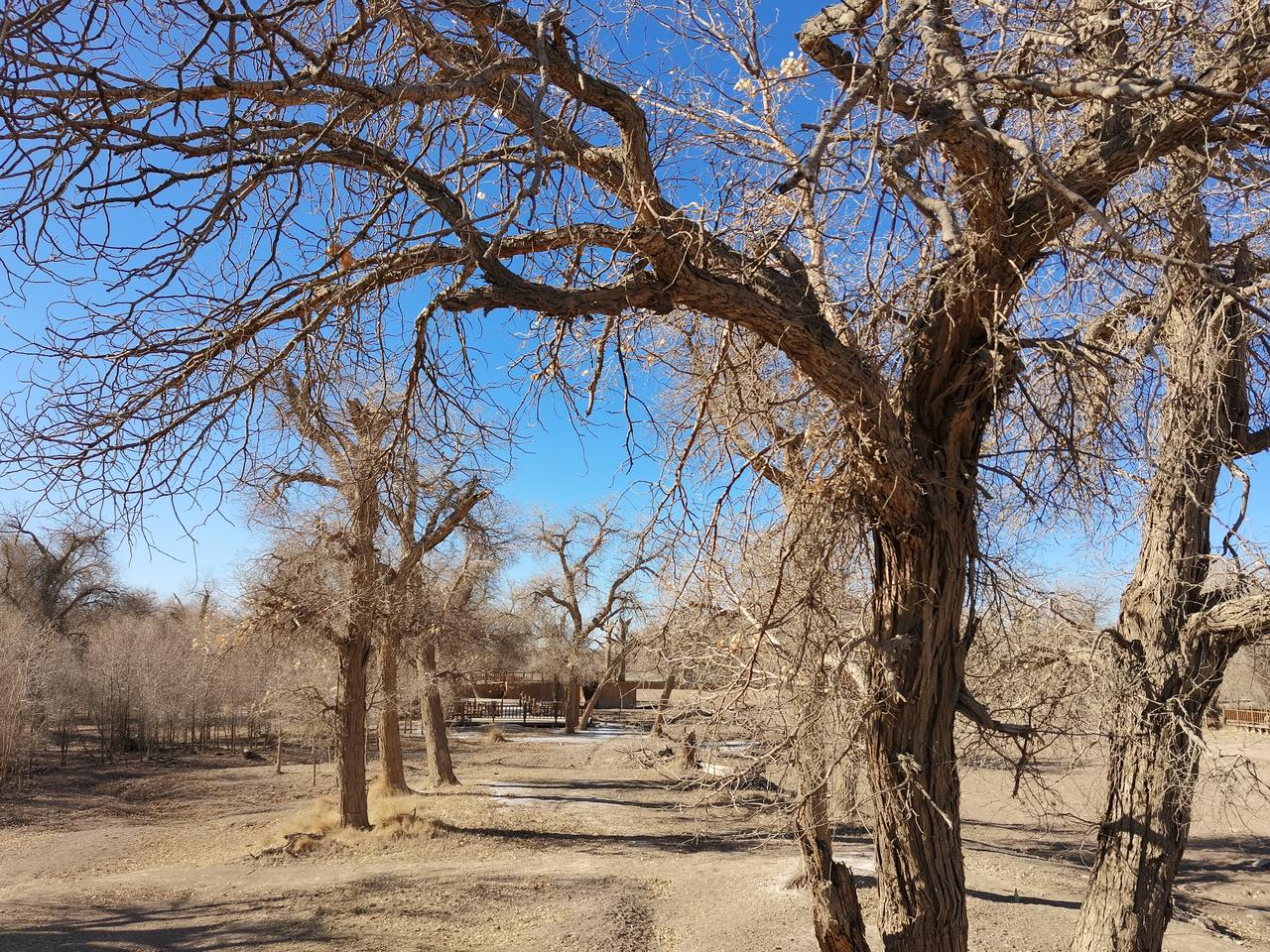 《心若不动，风又奈何：你的好，只配留给值得的人》

人活到了一定年纪，必须扔掉四