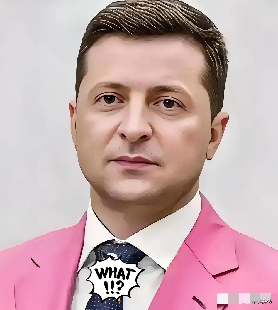 泽连斯基松口了！
乌克兰总统泽连斯基就俄乌停火的事正式发声，给了外界一个明明白白